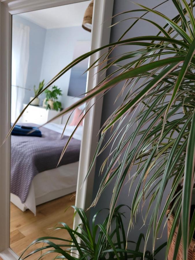 Ferienwohnung Maciejkowa Stettin Exterior foto