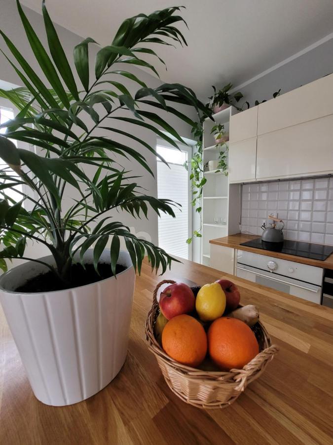 Ferienwohnung Maciejkowa Stettin Exterior foto